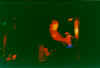 Houston3.jpg (76969 bytes)