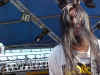 Sunk Phil Hair.jpg (109813 bytes)