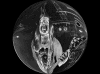 pictur38.gif (84513 bytes)